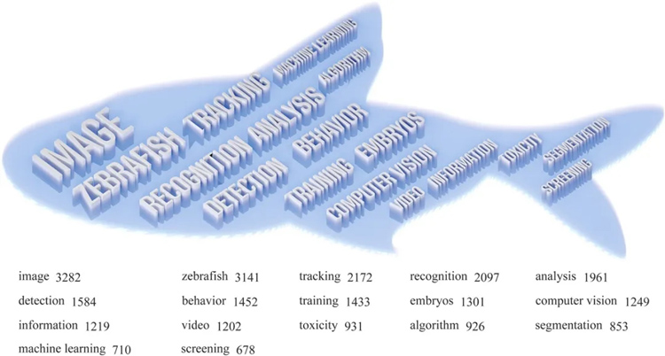 1716535692117685.jpg 2.jpg