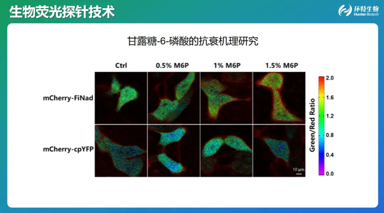1717667695181630.jpg 5.jpg