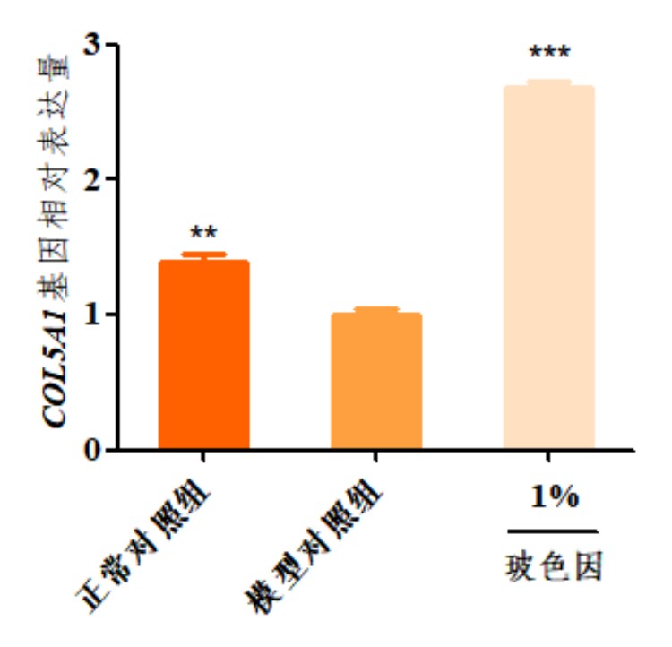 图片 10.jpg
