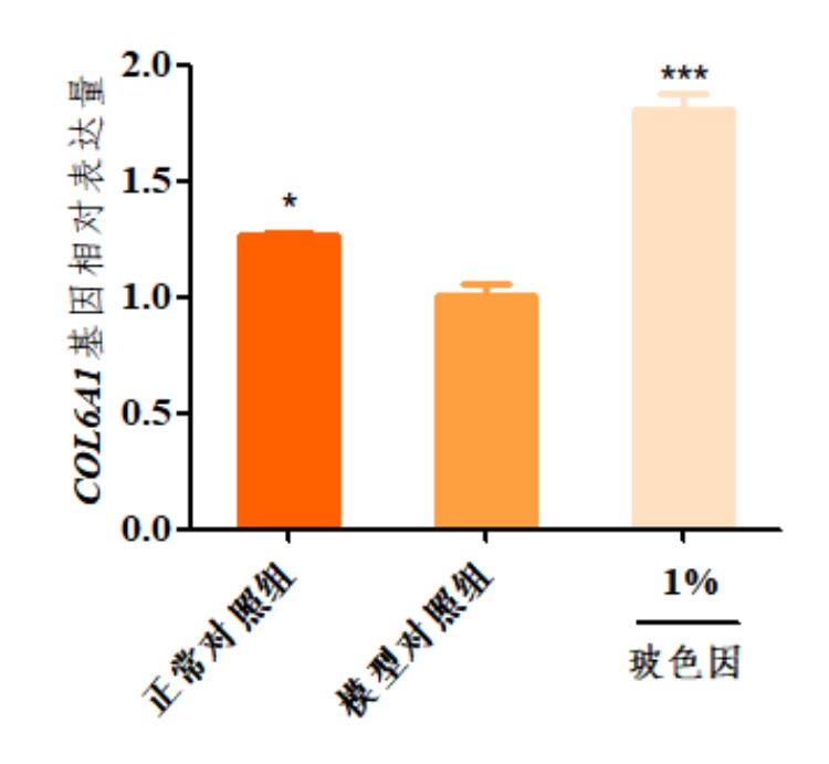 图片 11.jpg