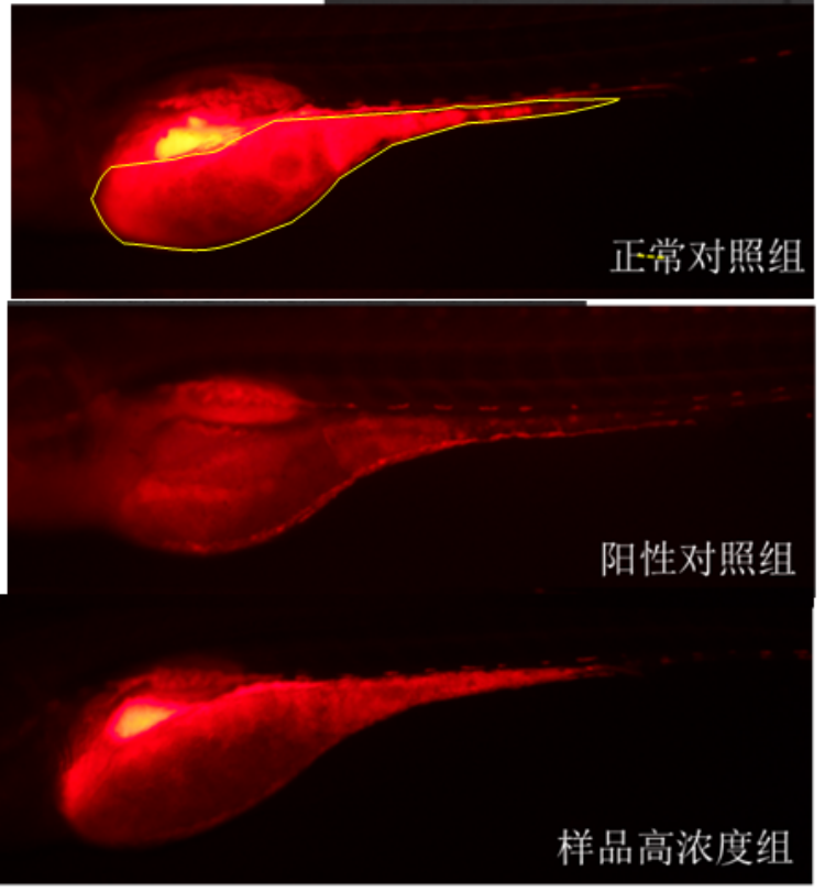 图片 1.png
