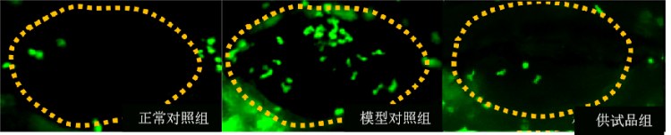 图片 2.png