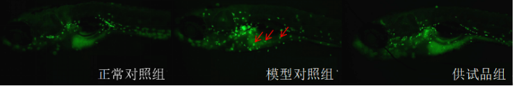 图片 1.png