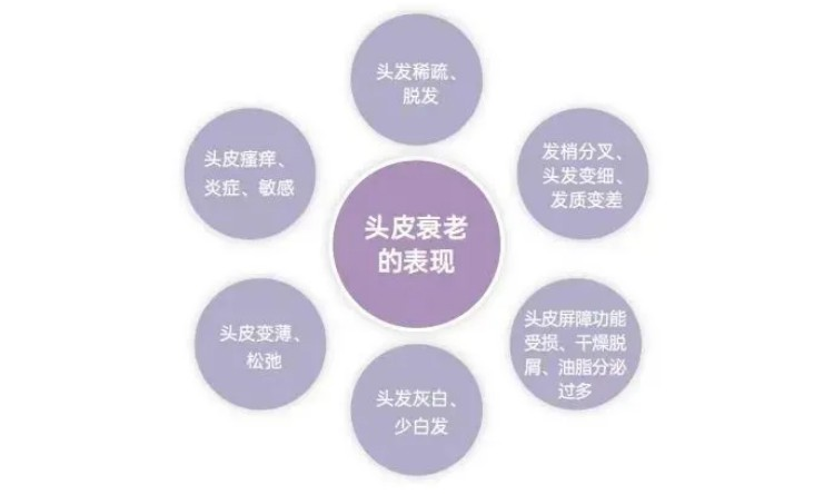 640(2).png